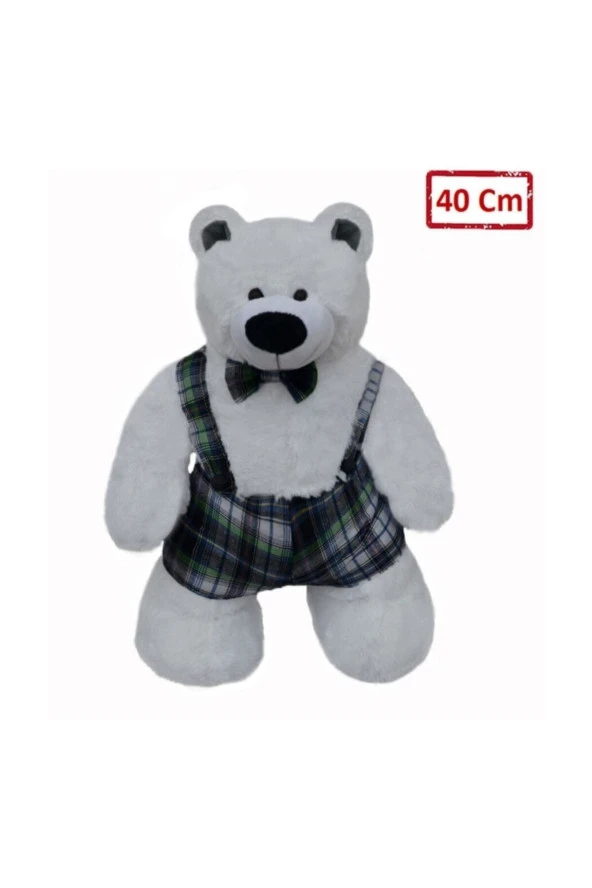 Ayakta Duran Tulumlu Ayı  40 cm. - 5