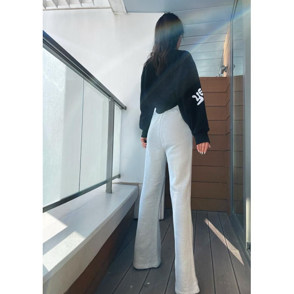 Zara Model Palazzo Jogger