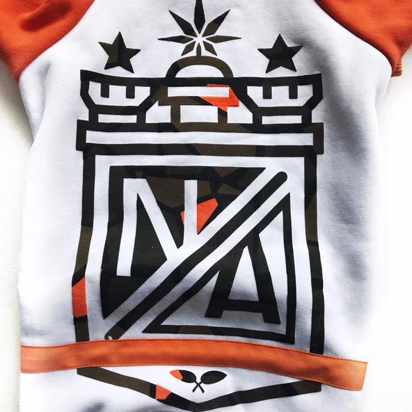 Na Orange Athletique Hoodie Köpek Kıyafet Elbise - 3