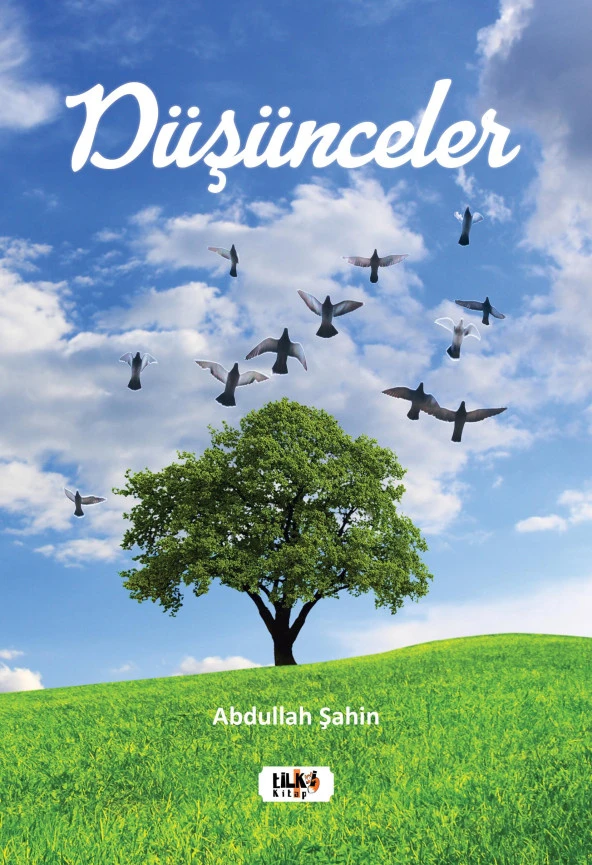 Düşünceler - Abdullah Şahin