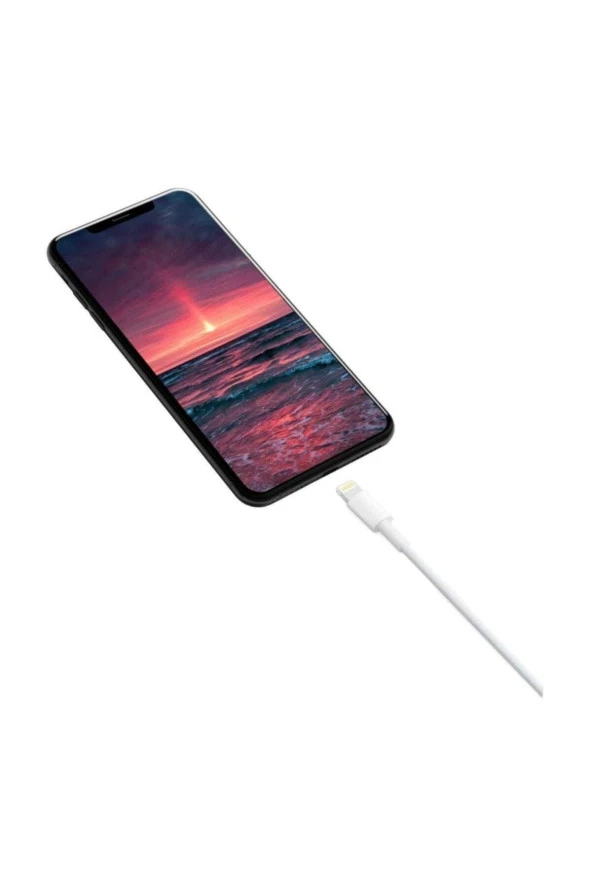 Inovaxis Apple Iphone, Ipad Lightning Şarj Data Kablosu 1 M - 3