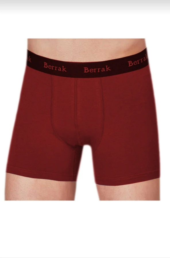 4476 BERRAK MODAL ERKEK BOXER 10 LU - Resim 2