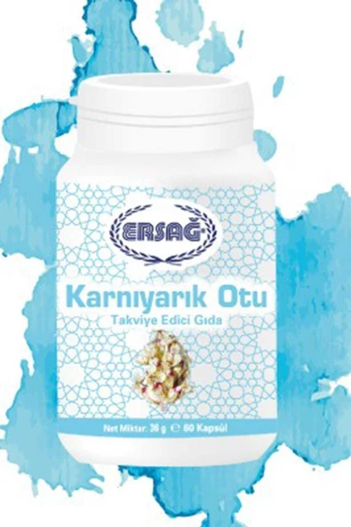 Ersağ Karnıyarık Otu K2