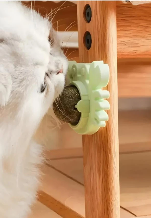 Ovisso Kedi Yalama Topu Nane Yengeç  Modelli
