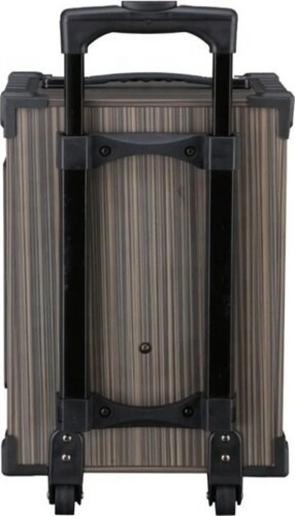 LT-910 Süper Bass Kumandalı Şarjlı Çift Mikrofonlu Hoparlör Sistemi Taşınabilir Amfi - 3