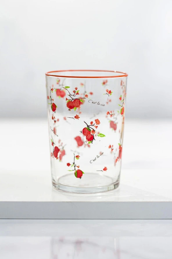 Nar Desenli Su Meşrubat Bardağı 400 ML - 2