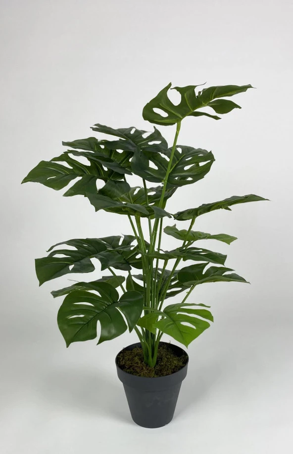 BİÇİÇEK   YAPAY ÇİÇEK SALON BİTKİSİ MONSTERA DEVE TABANI ANTRASİT RENK YALI SAKSIDA - 2