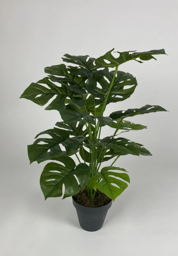BİÇİÇEK   YAPAY ÇİÇEK SALON BİTKİSİ MONSTERA DEVE TABANI ANTRASİT RENK YALI SAKSIDA - 3