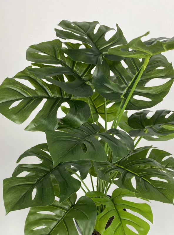 BİÇİÇEK   YAPAY ÇİÇEK SALON BİTKİSİ MONSTERA DEVE TABANI KIRIKBEYAZ RENK YALI SAKSIDA - 3