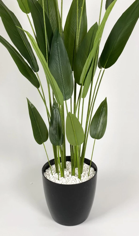 BİÇİÇEK YAPAY AĞAÇ STARLİÇE 220CM XXL BOY SİYAH RENK BÜYÜK BOY YAKUT SAKSIDA