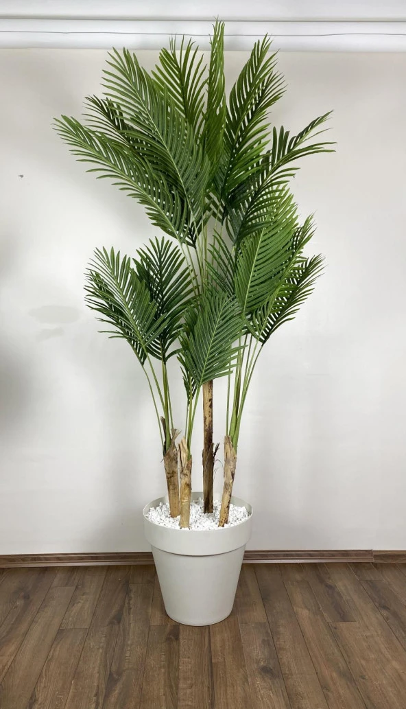 BİÇİÇEK   YAPAY AREKA-BÜYÜK BOY PALMİYE AĞACI 4 BAMBU GÖVDELİ VE MONSTERA-DEVETABANI AĞACI  YALI SAKSIDA - Resim 3