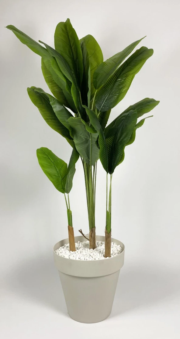 BİÇİÇEK   YAPAY AĞAÇ STARLİÇE BAMBU GÖVDELİ 220CM BÜYÜK BOY KIRIKBEYAZ RENK YALI SAKSIDA - Resim 2