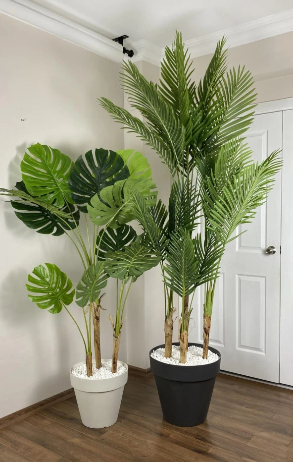 BİÇİÇEK YAPAY AREKA-BÜYÜK BOY PALMİYE AĞACI 4 BAMBU GÖVDELİ VE MONSTERA-DEVETABANI AĞACI YALI SAKSIDA - 2