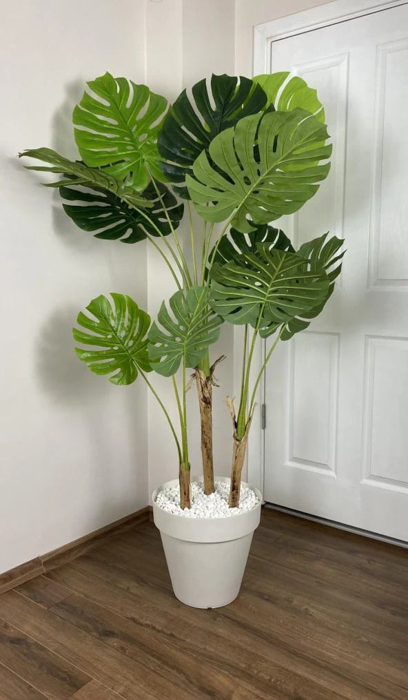 BİÇİÇEK YAPAY AĞAÇ MONSTERA BAMBU GÖVDELİ 150CM DEVETABANI AĞACI BÜYÜK BOY KIRIKBEYAZ RENK YALI SAKSIDA - 2