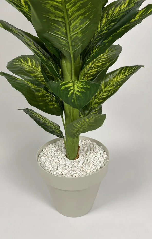 BİÇİÇEK   YAPAY AĞAÇ DİFENBAHYA BAMBU GÖVDELİ 160CM BÜYÜK BOY KIRIKBEYAZ RENK YALI SAKSIDA ürün görseli