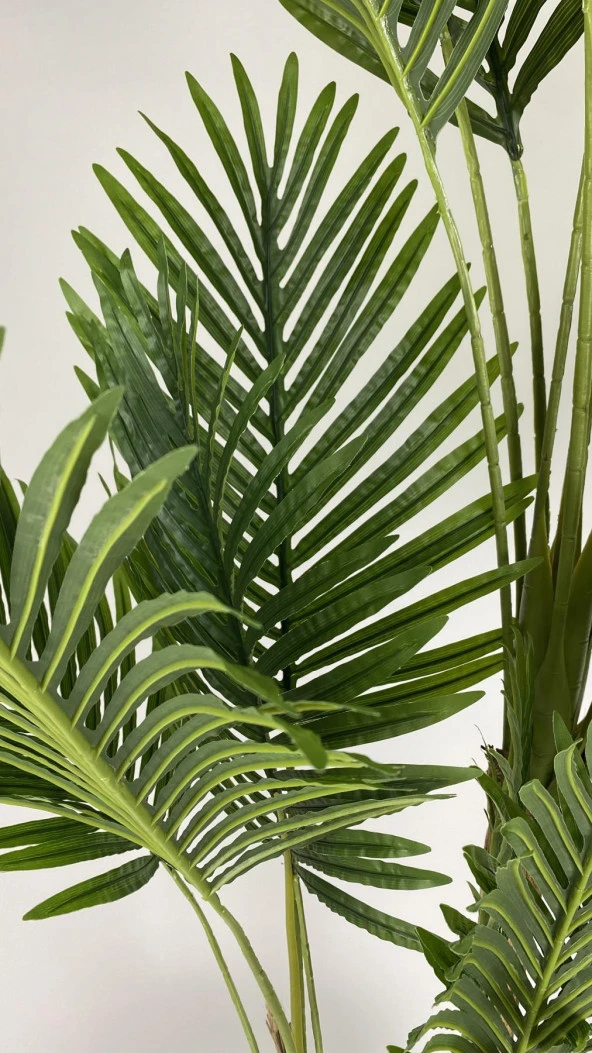 BİÇİÇEK   YAPAY AREKA-BÜYÜK BOY PALMİYE AĞACI 4 BAMBU GÖVDELİ VE MONSTERA-DEVETABANI AĞACI  YALI SAKSIDA - Resim 4