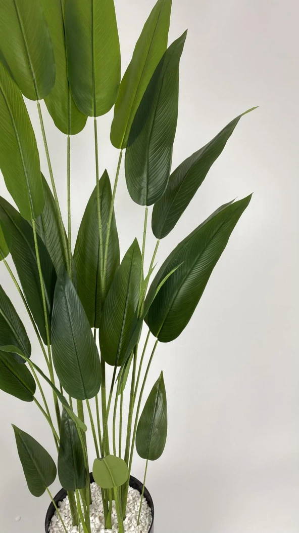 BİÇİÇEK YAPAY AĞAÇ STARLİÇE 220CM XXL BOY SİYAH RENK BÜYÜK BOY YAKUT SAKSIDA - 4