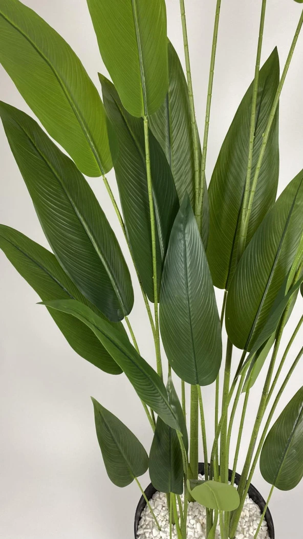 BİÇİÇEK YAPAY AĞAÇ STARLİÇE 220CM XXL BOY SİYAH RENK BÜYÜK BOY YAKUT SAKSIDA - 5