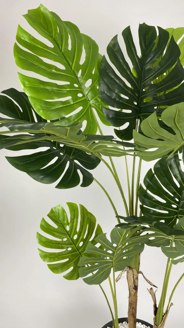 BİÇİÇEK   YAPAY AREKA-BÜYÜK BOY PALMİYE AĞACI 4 BAMBU GÖVDELİ VE MONSTERA-DEVETABANI AĞACI  YALI SAKSIDA - Resim 7