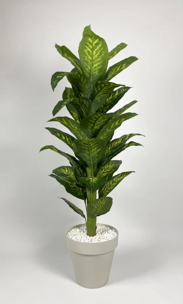 BİÇİÇEK YAPAY AĞAÇ DİFENBAHYA BAMBU GÖVDELİ 160CM BÜYÜK BOY KIRIKBEYAZ RENK YALI SAKSIDA - 2