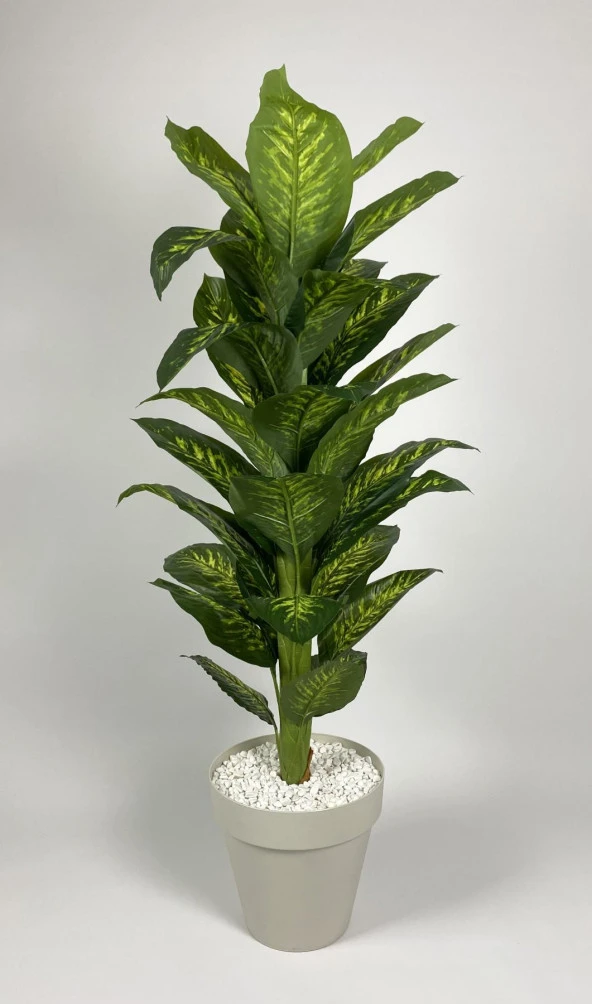 BİÇİÇEK YAPAY AĞAÇ DİFENBAHYA BAMBU GÖVDELİ 160CM BÜYÜK BOY KIRIKBEYAZ RENK YALI SAKSIDA - 3