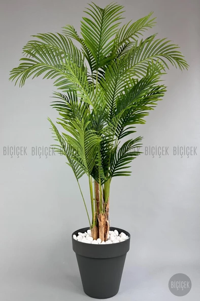 BİÇİÇEK   YAPAY AREKA AĞACI  BÜYÜK BOY PALMİYE AĞACI 4 BAMBU GÖVDELİ 220CM ANTRASİT RENK YALI SAKSIDA - 3