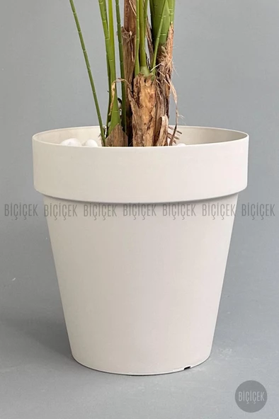 BİÇİÇEK   YAPAY AREKA AĞACI  BÜYÜK BOY PALMİYE AĞACI 4 BAMBU GÖVDELİ 220CM ANTRASİT RENK YALI SAKSIDA - 11
