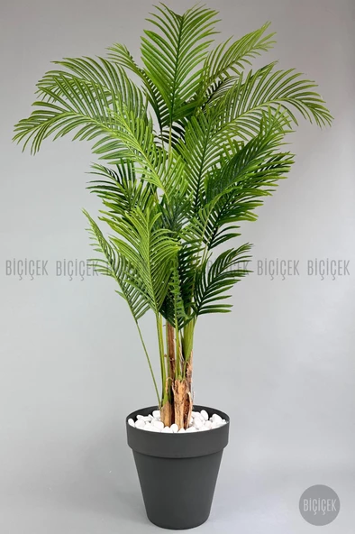 BİÇİÇEK   YAPAY AREKA AĞACI  BÜYÜK BOY PALMİYE AĞACI 4 BAMBU GÖVDELİ 220CM ANTRASİT RENK YALI SAKSIDA - 5