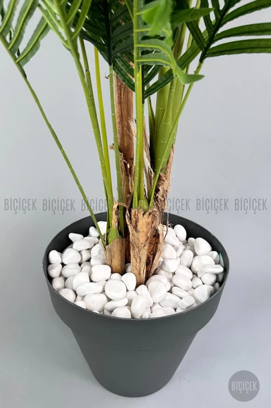 BİÇİÇEK   YAPAY AREKA AĞACI  BÜYÜK BOY PALMİYE AĞACI 4 BAMBU GÖVDELİ 220CM ANTRASİT RENK YALI SAKSIDA - 6