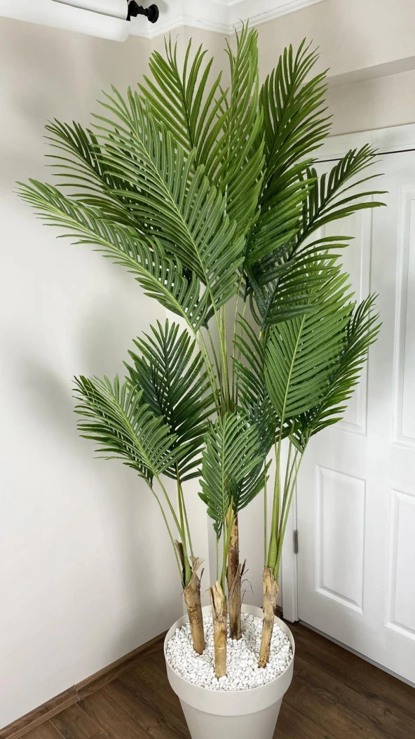 BİÇİÇEK YAPAY AREKA AĞACI BÜYÜK BOY PALMİYE AĞACI 4 BAMBU GÖVDELİ 220CM KIRIKBEYAZ RENK YALI SAKSIDA