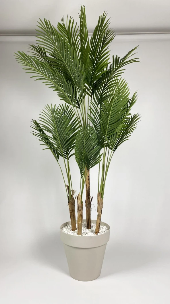 BİÇİÇEK YAPAY AREKA AĞACI BÜYÜK BOY PALMİYE AĞACI 4 BAMBU GÖVDELİ 220CM KIRIKBEYAZ RENK YALI SAKSIDA - 4