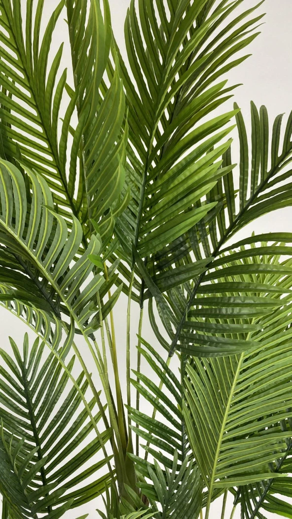 BİÇİÇEK YAPAY AREKA AĞACI BÜYÜK BOY PALMİYE AĞACI 4 BAMBU GÖVDELİ 220CM KIRIKBEYAZ RENK YALI SAKSIDA - 5