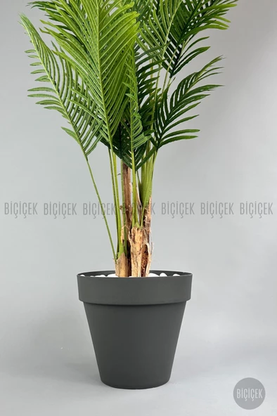 BİÇİÇEK   YAPAY AREKA AĞACI  BÜYÜK BOY PALMİYE AĞACI 4 BAMBU GÖVDELİ 220CM ANTRASİT RENK YALI SAKSIDA - 2