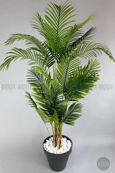 BİÇİÇEK   YAPAY AREKA AĞACI  BÜYÜK BOY PALMİYE AĞACI 4 BAMBU GÖVDELİ 220CM ANTRASİT RENK YALI SAKSIDA - 8