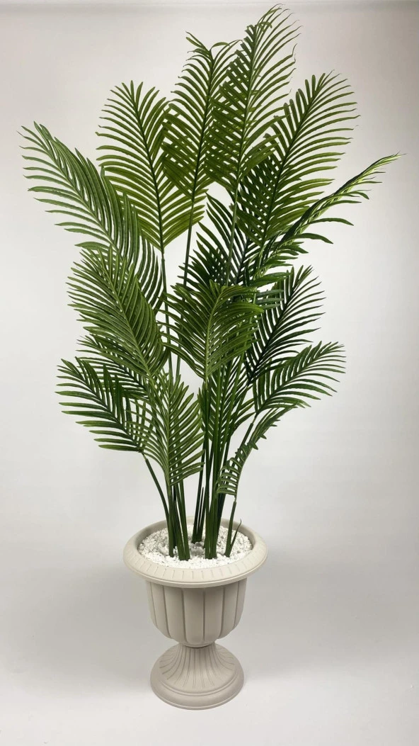 BİÇİÇEK YAPAY AĞAÇ AREKA PALMİYESİ 240CM XXL BOY KIRIKBEYAZ RENK BÜYÜK BOY NERGİS SAKSIDA