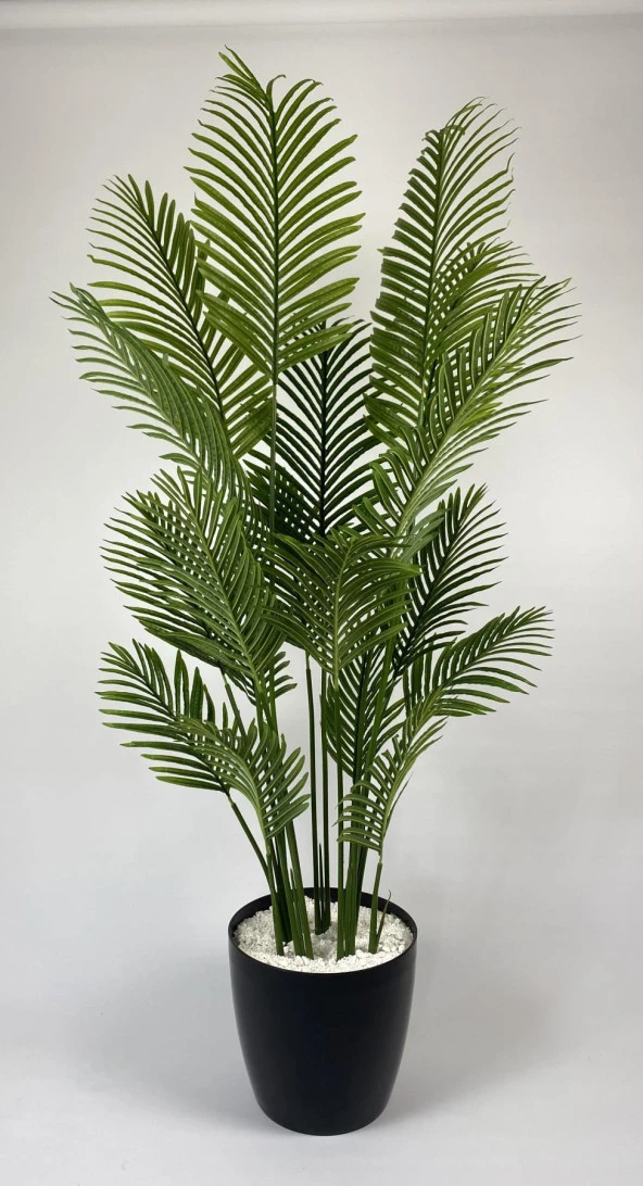 BİÇİÇEK YAPAY AĞAÇ AREKA PALMİYESİ 220CM XXL BOY SİYAH RENK BÜYÜK BOY YAKUT SAKSIDA
