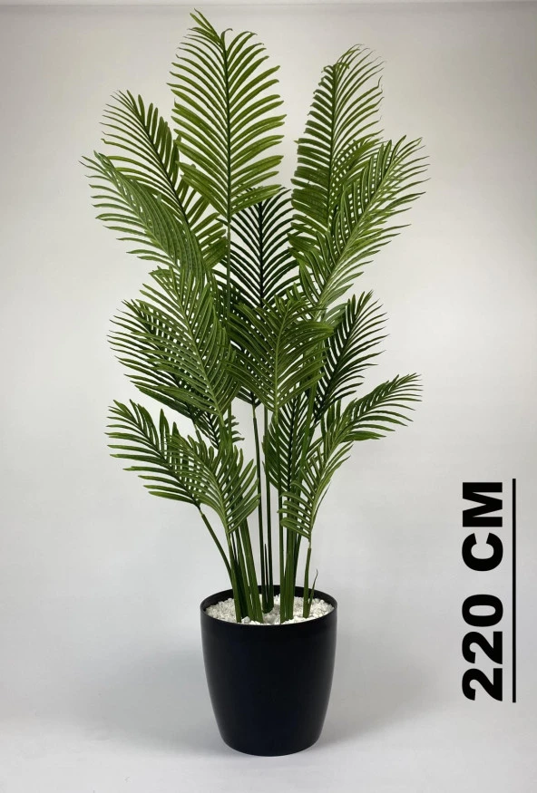 BİÇİÇEK YAPAY AĞAÇ AREKA PALMİYESİ 220CM XXL BOY SİYAH RENK BÜYÜK BOY YAKUT SAKSIDA - 2