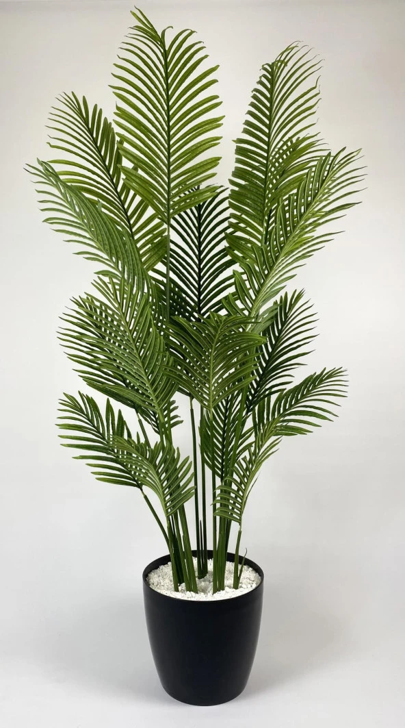 BİÇİÇEK YAPAY AĞAÇ AREKA PALMİYESİ 220CM XXL BOY SİYAH RENK BÜYÜK BOY YAKUT SAKSIDA - 3