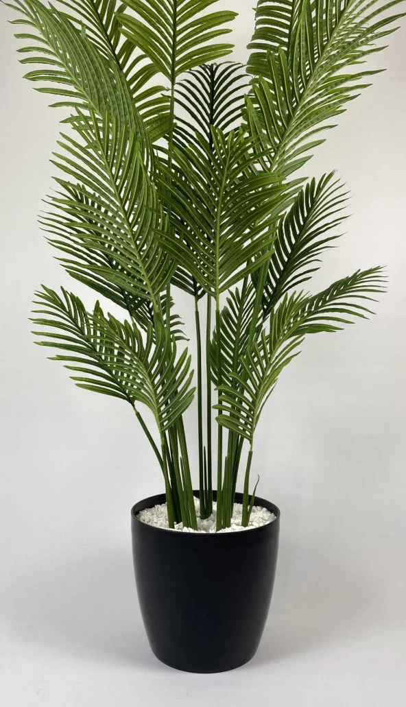 BİÇİÇEK YAPAY AĞAÇ AREKA PALMİYESİ 220CM XXL BOY SİYAH RENK BÜYÜK BOY YAKUT SAKSIDA - 4