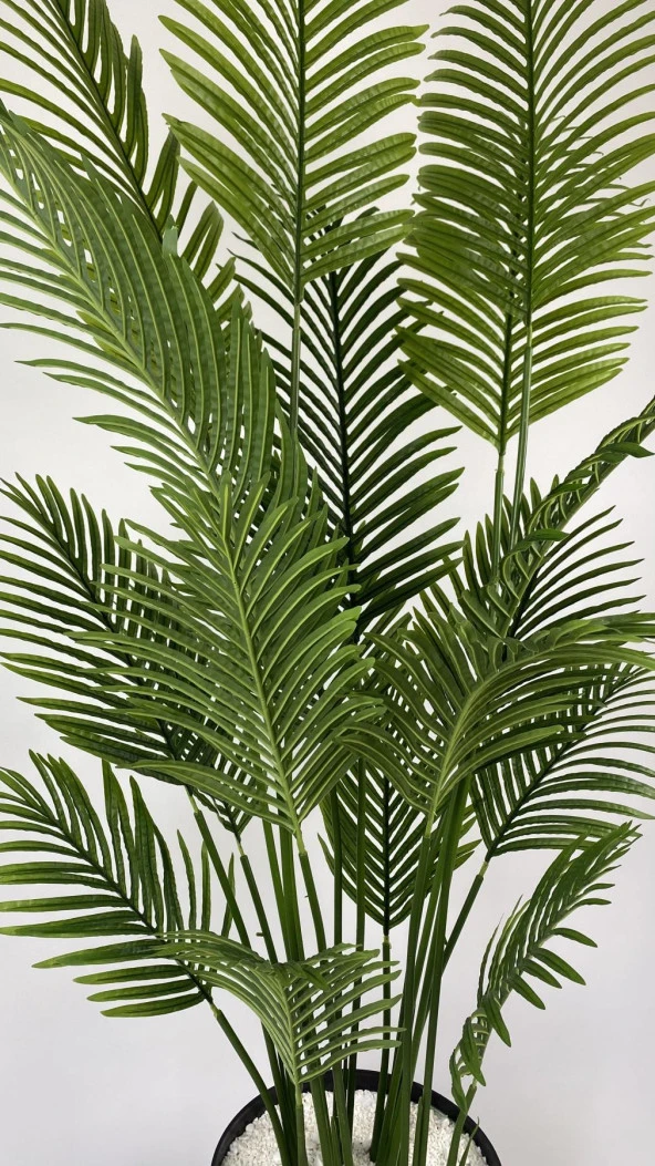 BİÇİÇEK YAPAY AĞAÇ AREKA PALMİYESİ 220CM XXL BOY SİYAH RENK BÜYÜK BOY YAKUT SAKSIDA - 5