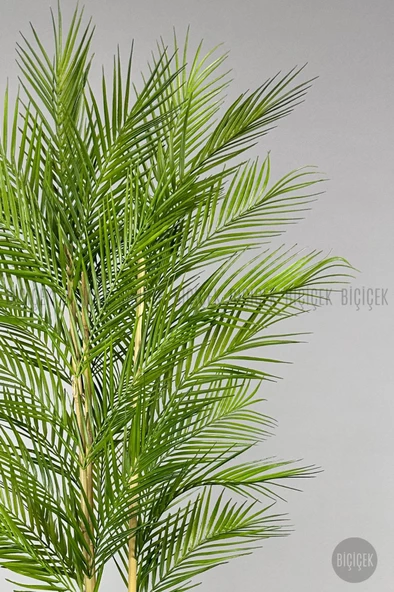 BİÇİÇEK YAPAY AREKA AĞACI PALMİYE AĞACI 33 YAPRAKLI BAMBU GÖVDELİ BEYAZ KUMSAL SAKSI SALON ÇİÇEĞİ 150CM - 9