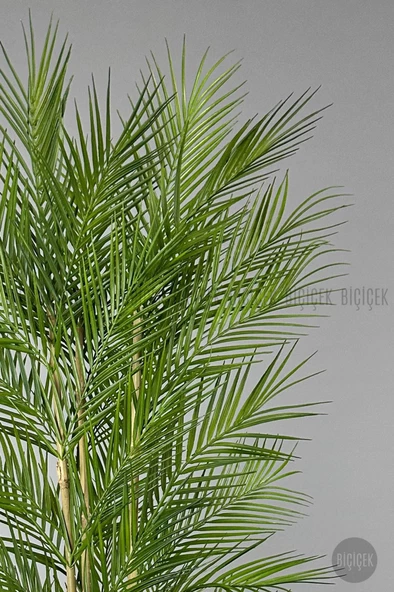 BİÇİÇEK YAPAY AREKA AĞACI PALMİYE AĞACI 33 YAPRAKLI BAMBU GÖVDELİ BEYAZ KUMSAL SAKSI SALON ÇİÇEĞİ 150CM - 4