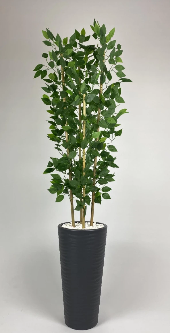 BİÇİÇEK   YAPAY BENJAMİN AĞACI 180CM YOĞUN YAPRAKLI BAMBU GÖVDELİ ANTRASİT RENK KUMSAL SAKSIDA - Resim 2