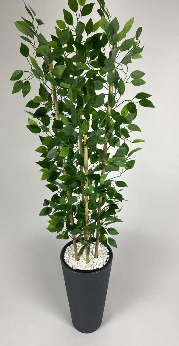 BİÇİÇEK   YAPAY BENJAMİN AĞACI 180CM YOĞUN YAPRAKLI BAMBU GÖVDELİ ANTRASİT RENK KUMSAL SAKSIDA - Resim 3