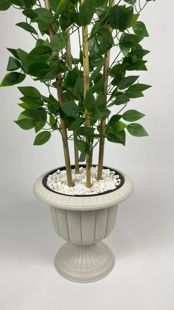 BİÇİÇEK YAPAY BENJAMİN AĞACI 170CM YOĞUN YAPRAKLI BAMBU GÖVDELİ KIRIKBEYAZ RENK NERGİS SAKSIDA