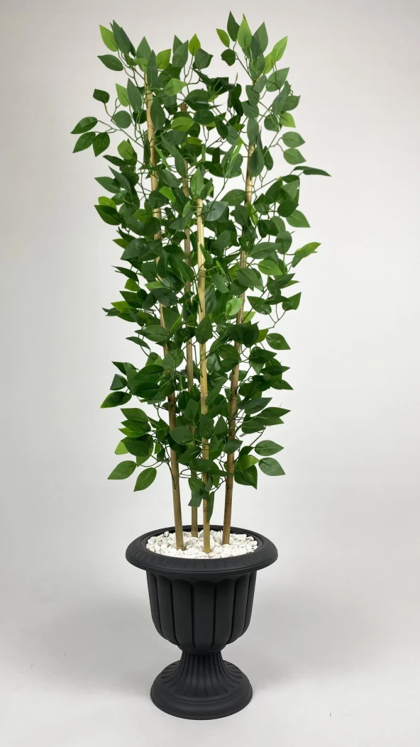 BİÇİÇEK   YAPAY BENJAMİN AĞACI 170CM YOĞUN YAPRAKLI BAMBU GÖVDELİ ANTRASİT RENK NERGİS SAKSIDA ürün görseli