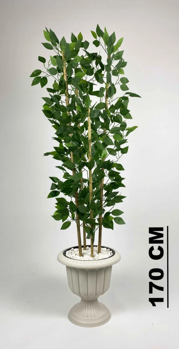 BİÇİÇEK YAPAY BENJAMİN AĞACI 170CM YOĞUN YAPRAKLI BAMBU GÖVDELİ KIRIKBEYAZ RENK NERGİS SAKSIDA - 2