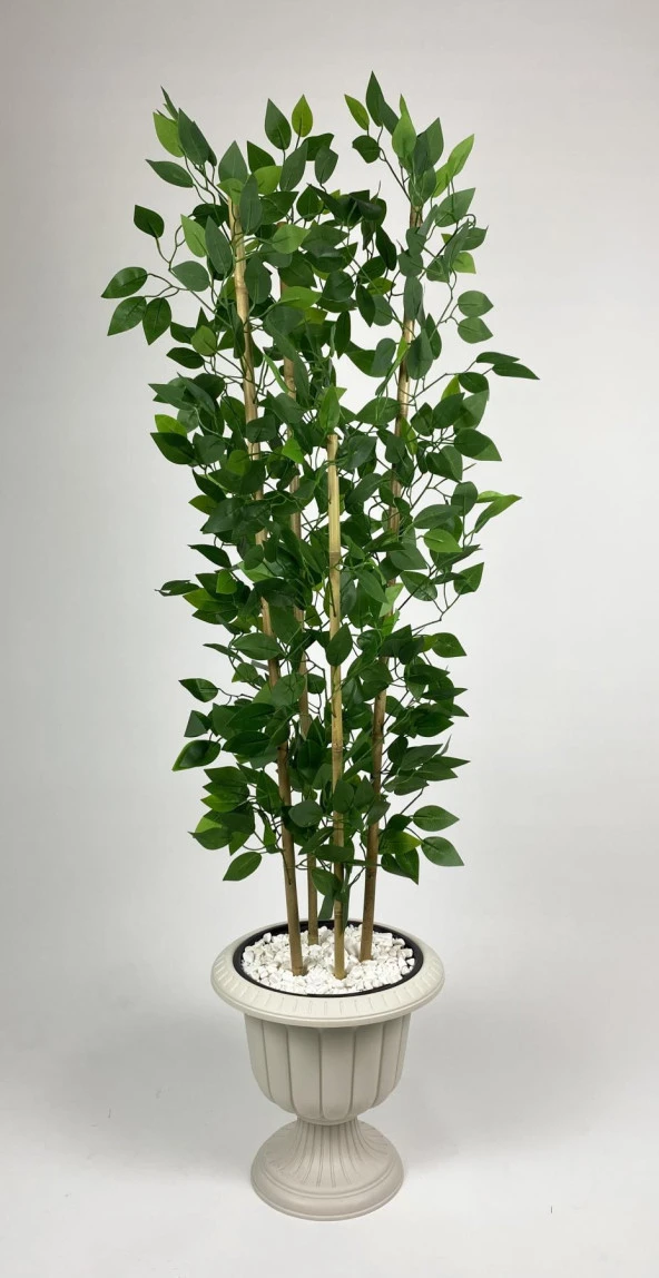 BİÇİÇEK YAPAY BENJAMİN AĞACI 170CM YOĞUN YAPRAKLI BAMBU GÖVDELİ KIRIKBEYAZ RENK NERGİS SAKSIDA - 3