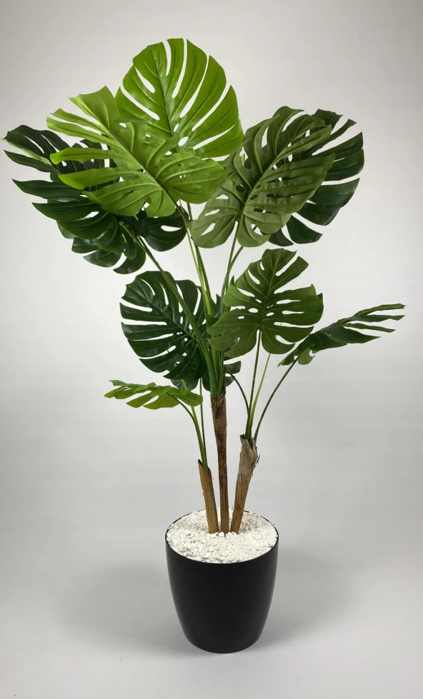 BİÇİÇEK   YAPAY AĞAÇ MONSTERA BAMBU GÖVDELİ 150CM DEVETABANI AĞACI BÜYÜK BOY SİYAH RENK YAKUT SAKSIDA - 3