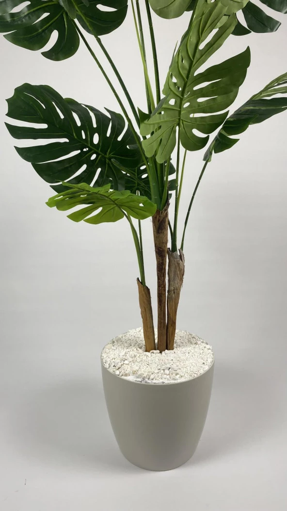 BİÇİÇEK YAPAY AĞAÇ MONSTERA BAMBU GÖVDELİ 150CM DEVETABANI AĞACI BÜYÜK BOY KIRIKBEYAZ RENK YAKUT SAKSIDA